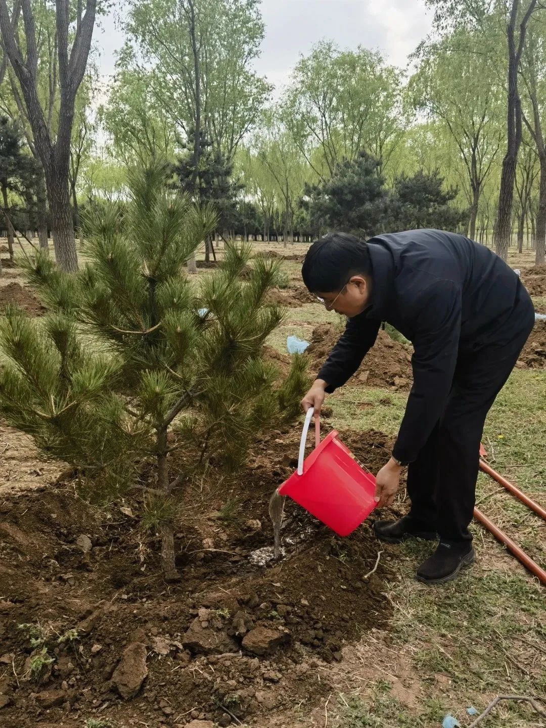 1694005975978.jpg 1694005975978.jpg