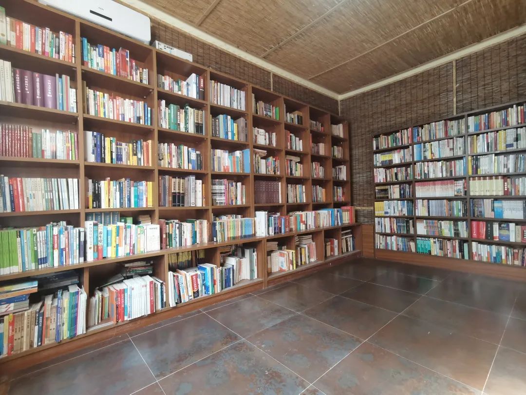 1694088602663.jpg 1694088602663.jpg