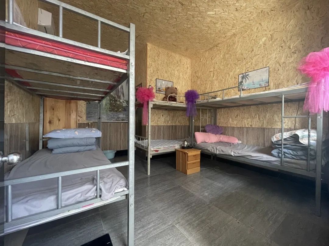 1694088715699.jpg 1694088715699.jpg