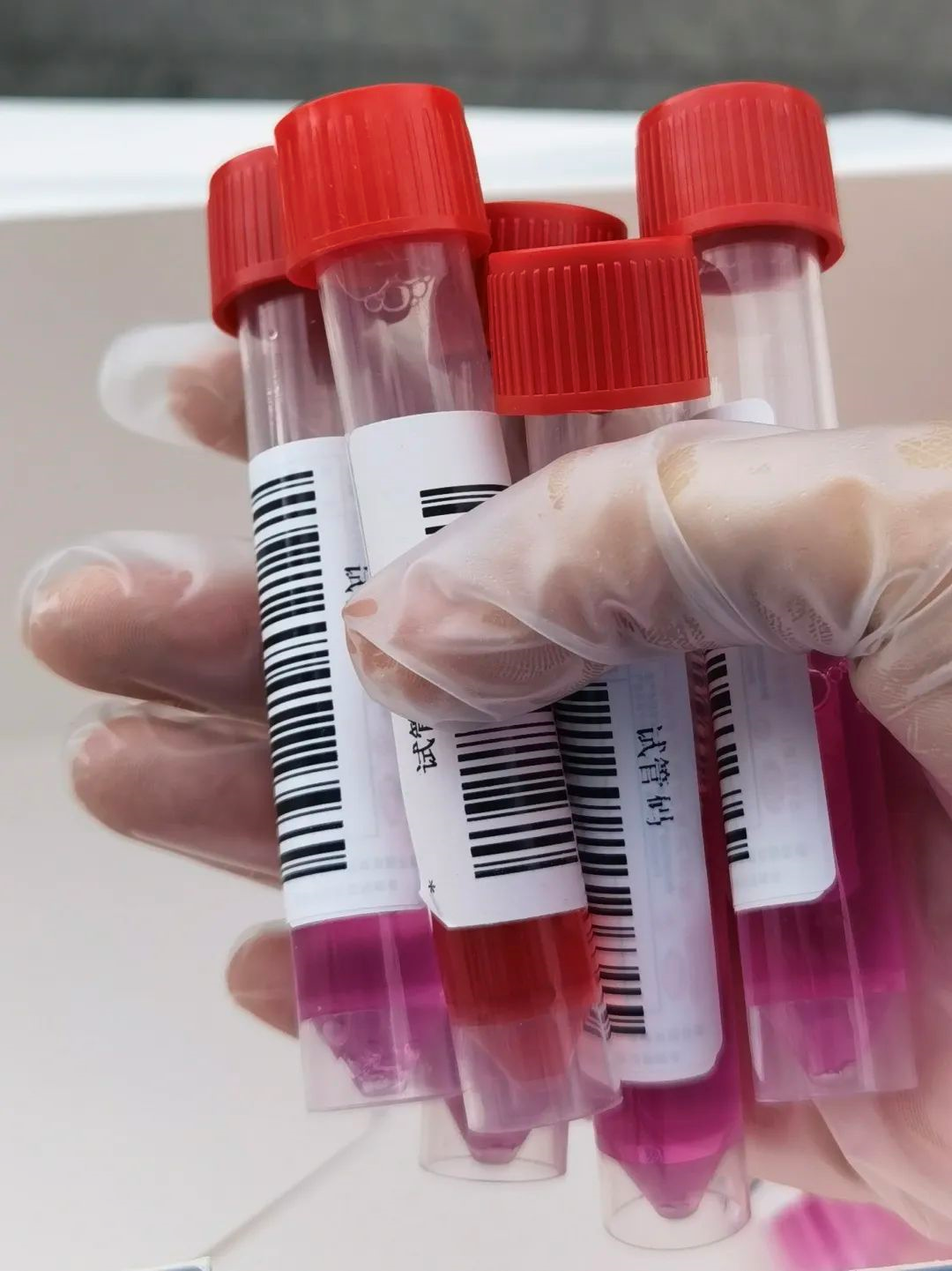 1694435184618.png 1694435184618.png